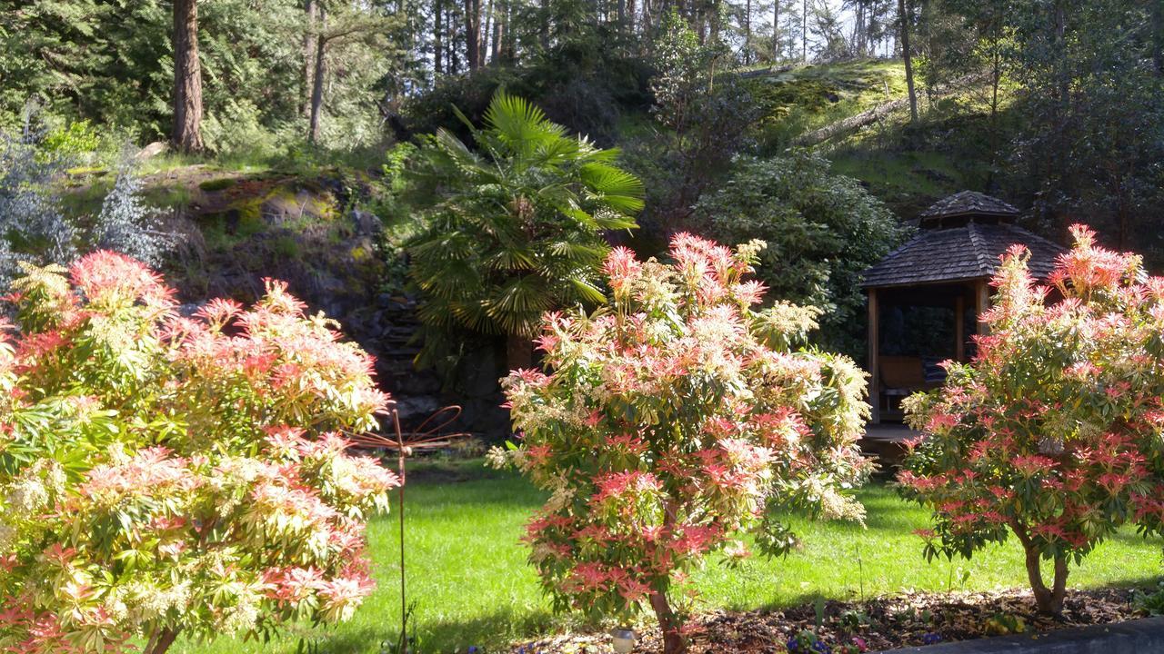 Sunshine Coast Treetop B&B Sechelt Eksteriør billede