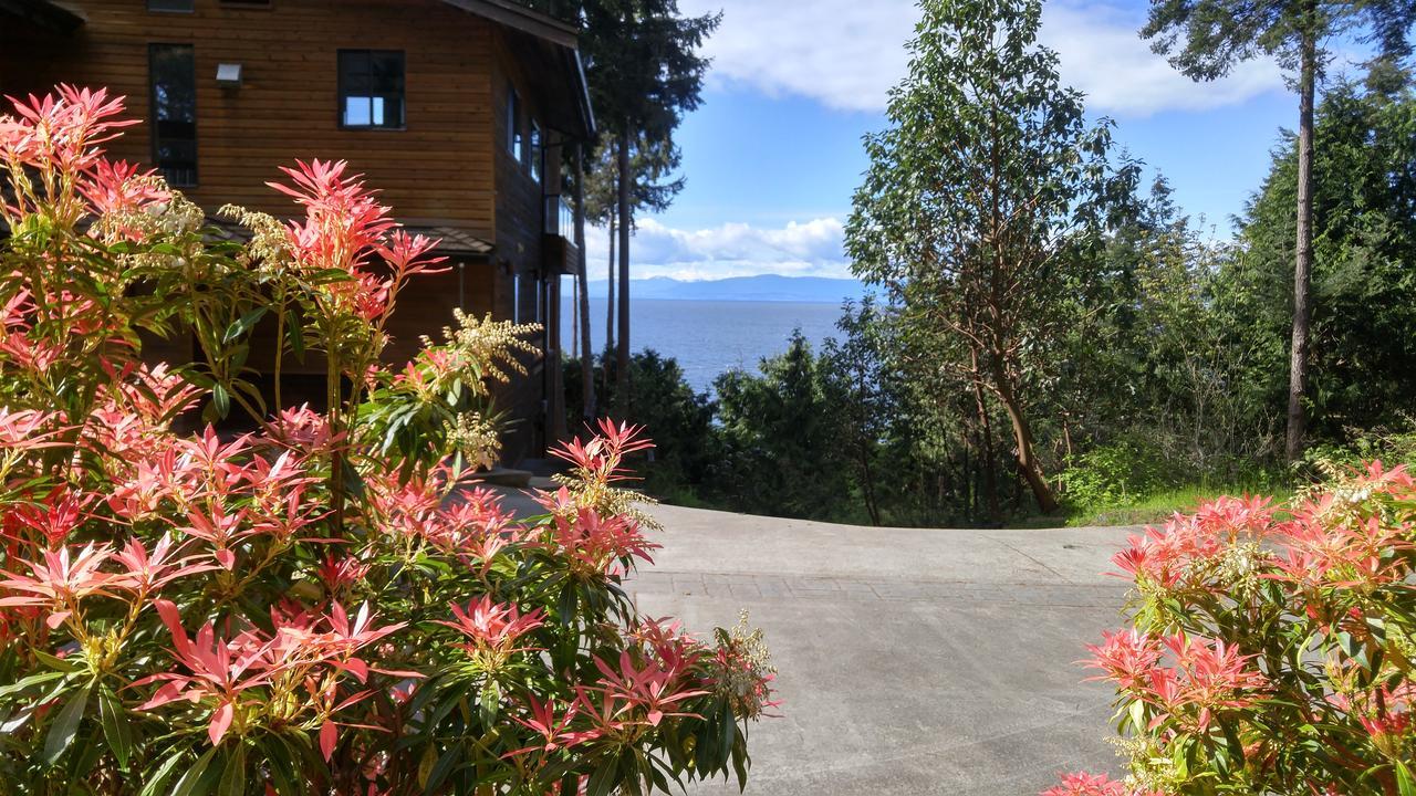 Sunshine Coast Treetop B&B Sechelt Eksteriør billede