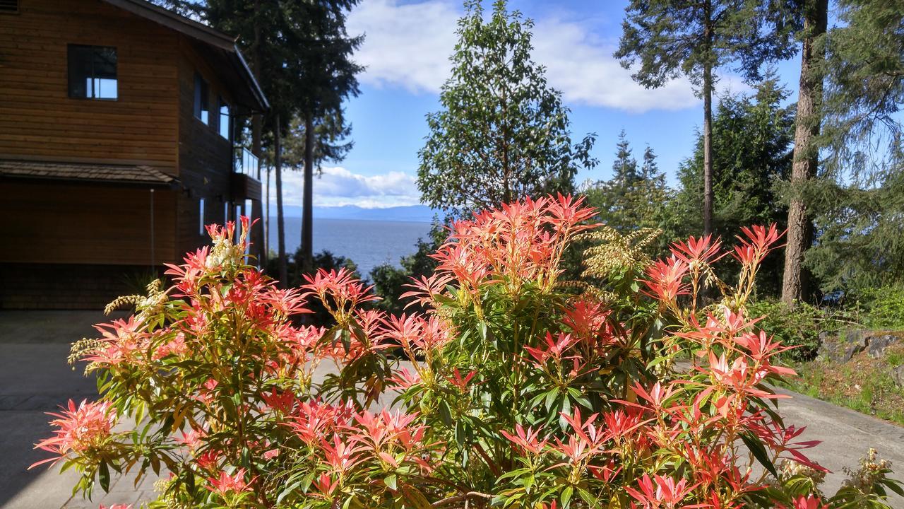 Sunshine Coast Treetop B&B Sechelt Eksteriør billede