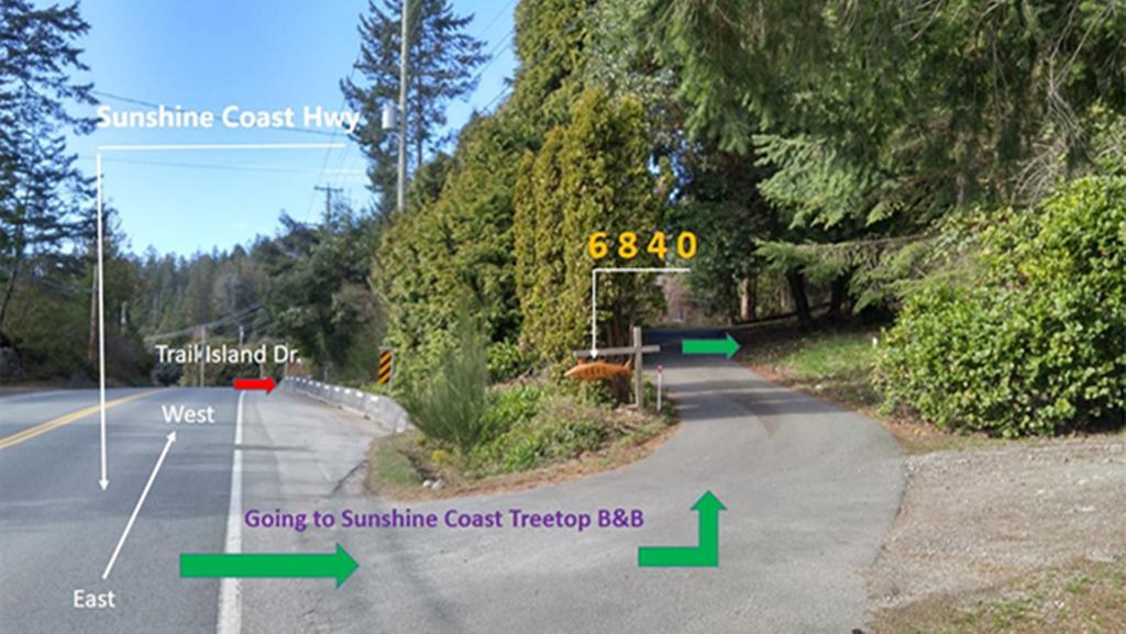 Sunshine Coast Treetop B&B Sechelt Eksteriør billede