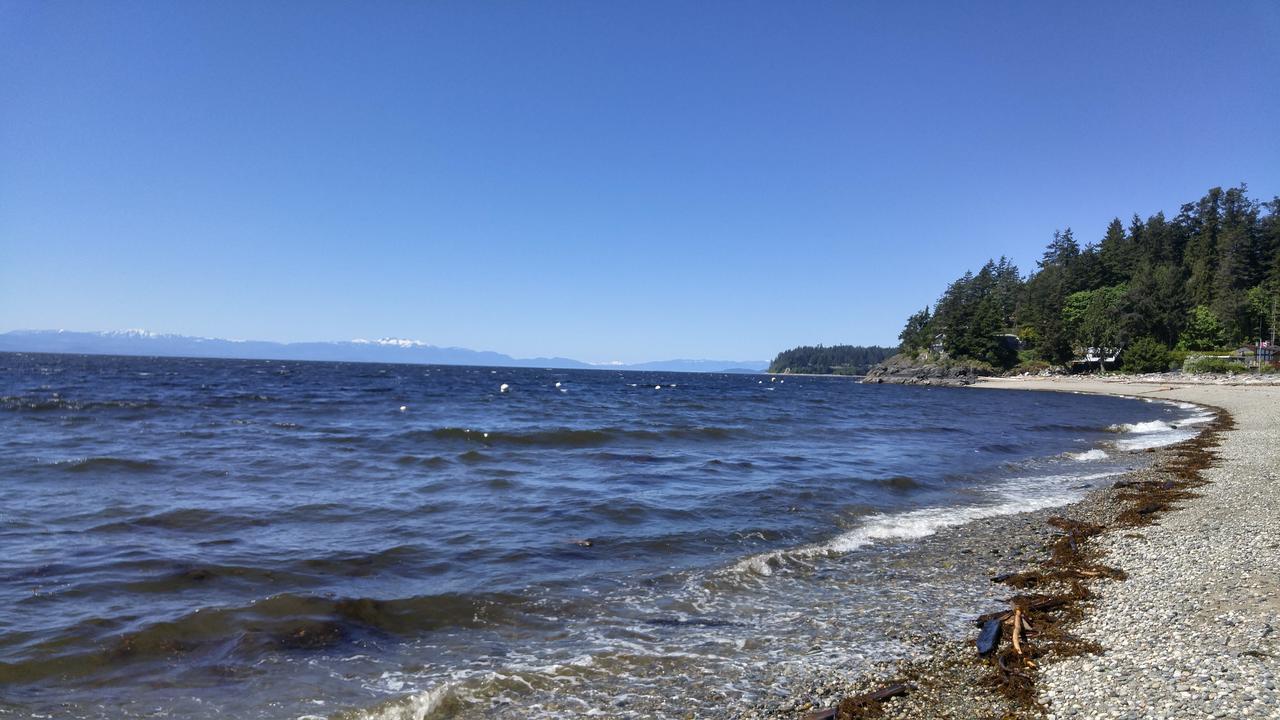 Sunshine Coast Treetop B&B Sechelt Eksteriør billede