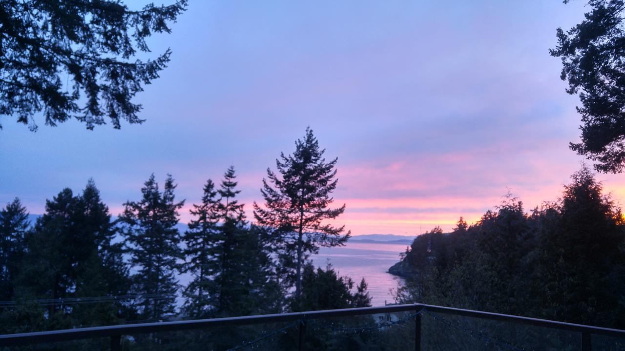 Sunshine Coast Treetop B&B Sechelt Eksteriør billede