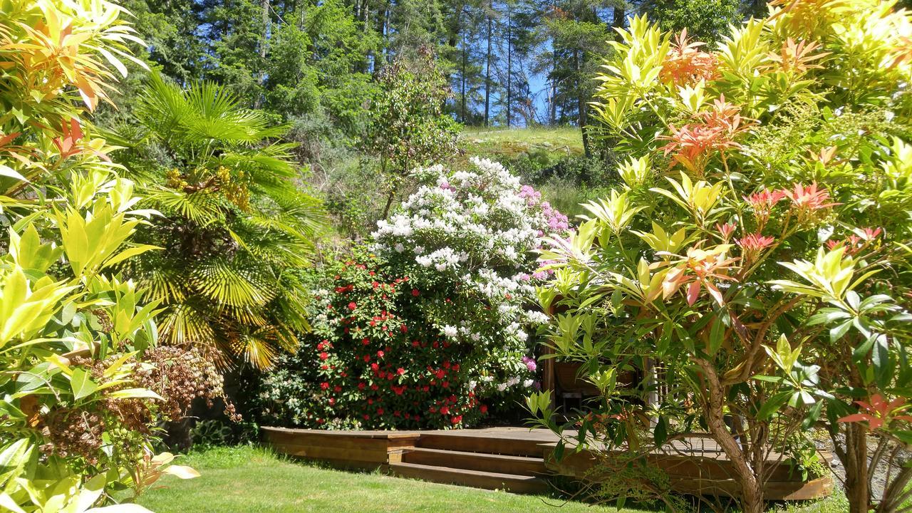 Sunshine Coast Treetop B&B Sechelt Eksteriør billede