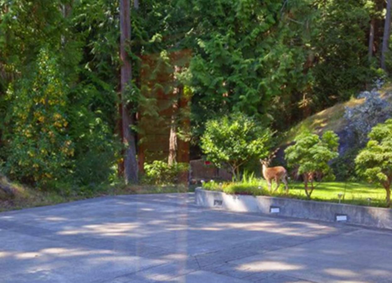 Sunshine Coast Treetop B&B Sechelt Eksteriør billede