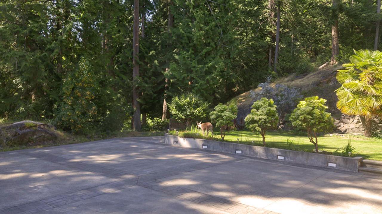 Sunshine Coast Treetop B&B Sechelt Eksteriør billede