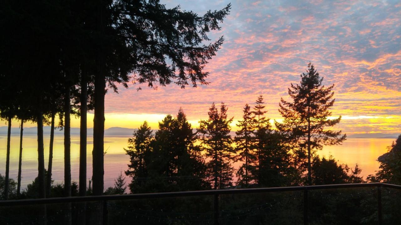 Sunshine Coast Treetop B&B Sechelt Eksteriør billede